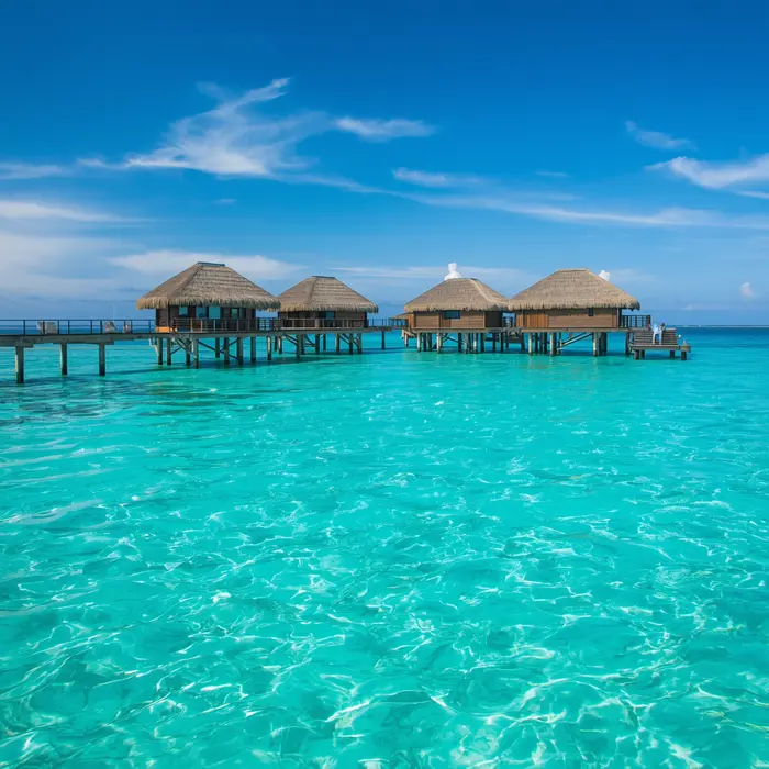 Industry Spotlights: Tourism and Resort Careers – Your Complete Guide to Working in Paradise